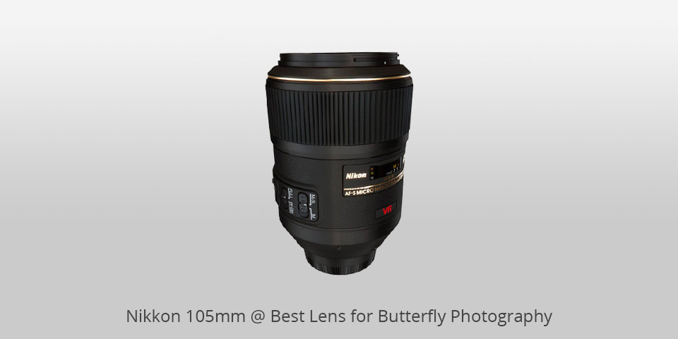 best macro lens for butterfly photography